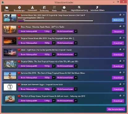 Screenshot des Download Vorganges beim Video-Downloader